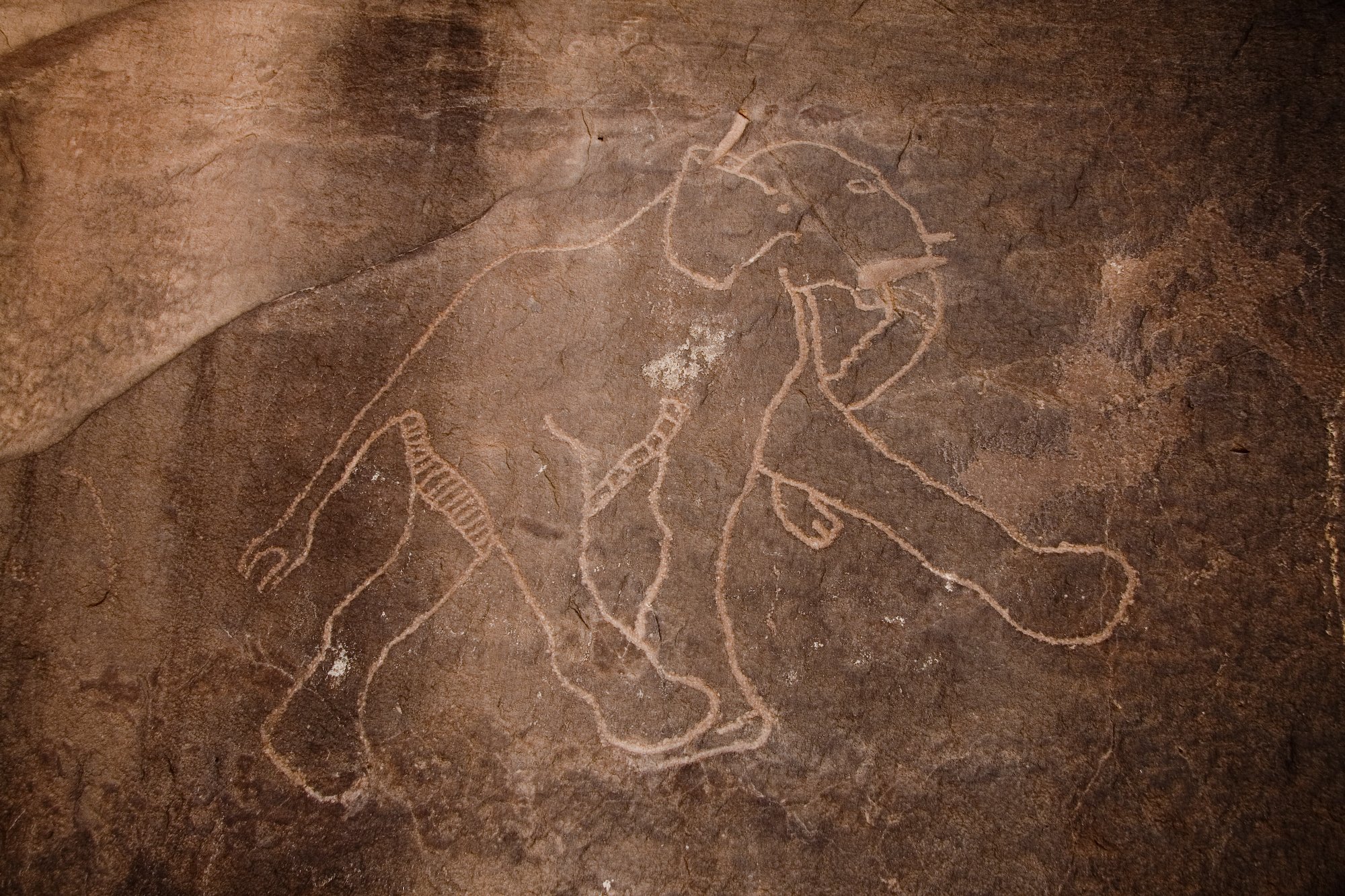 Наскальные рисунки и петроглифы Сахары